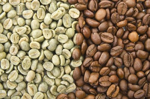 Organic Robusta Coffee Beans